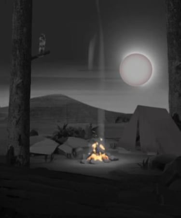 Campfire Scenery at Night